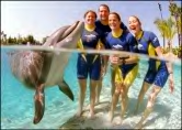 Discovery Cove